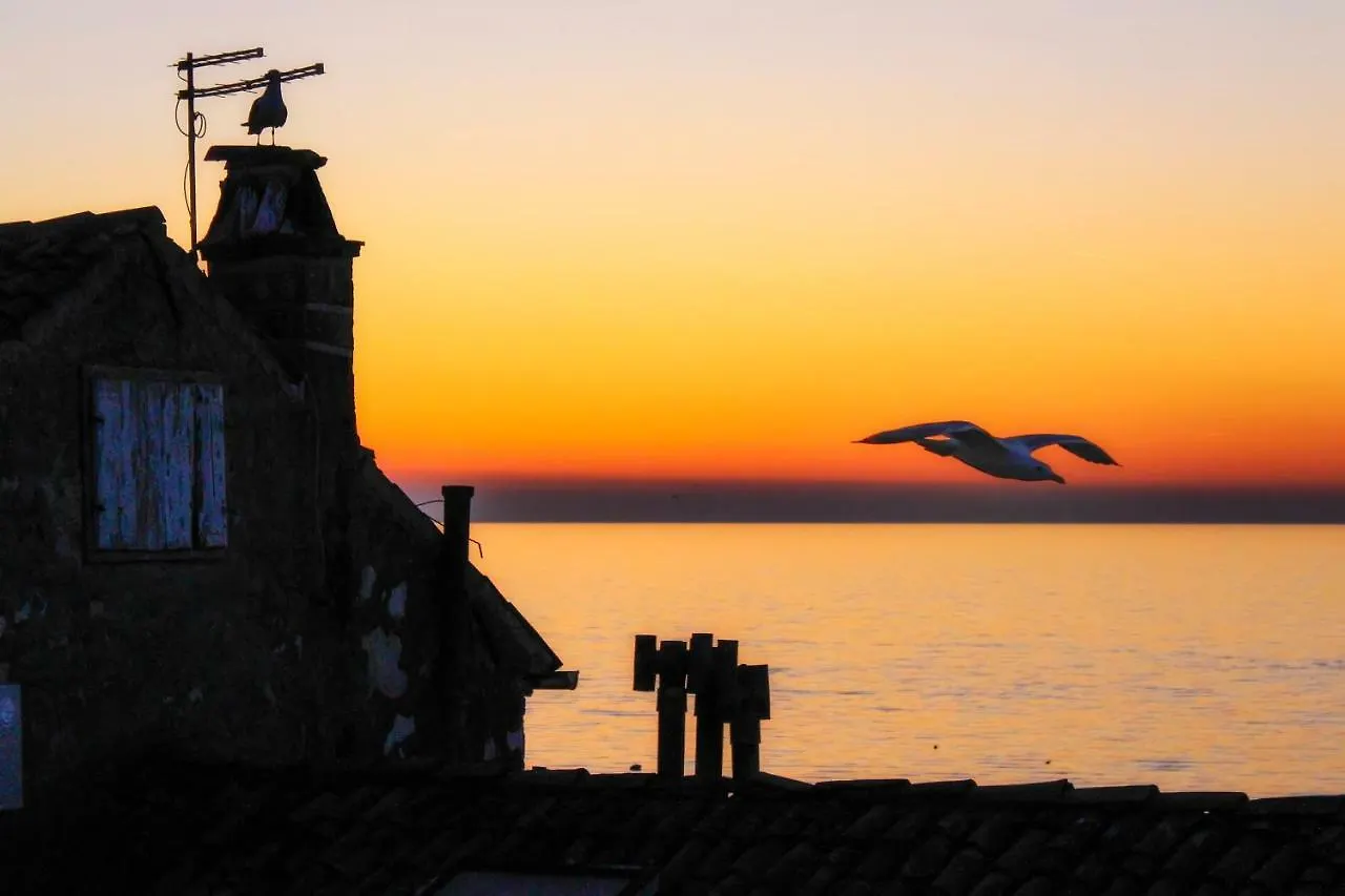 Rovigno Bella Sea View Apartment Croatia